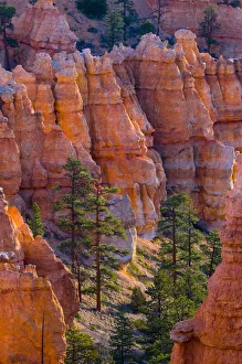 USA, Utah, Bryce Canyon National Park Print at Sunset