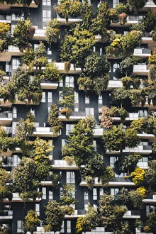 Vertical Garden, Milan, Lombardy, Italy Vertical Garden, Milan, Lombardy, Italy