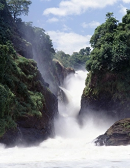 The Victoria Nile flows out of Lake Victoria into Lake Albert The Victoria Nile flows out of Lake Victoria into Lake Albert
