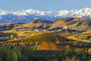Vineyards & castle, Grinzane Cavour, Cuneo district, Langhe, nr Alba, Langhe Vineyards & castle, Grinzane Cavour, Cuneo district, Langhe, nr Alba, Langhe