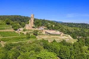 Wachenheim castle ruin, Palatinate wine road, Rhineland-Palatinate, Germany Wachenheim castle ruin, Palatinate wine road, Rhineland-Palatinate, Germany