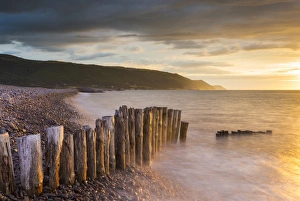 Weathered wooden posts on Bossington Beach, Exmoor National Park, Somerset, England Weathered wooden posts on Bossington Beach, Exmoor National Park, Somerset, England