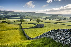 Prints of Wensleydale, Yorkshire Dales National Park, North Yorkshire, England, UK North Yorkshire Prints: Wensleydale Print, Yorkshire Dales National Park
