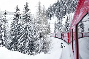 Rail Transportation Collection: Winter landscape after a blizzard seen during a journey on board of Bernina Express train