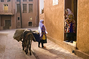 Woman and her donkey, Abyaneh near Kashan, Isfahan province, Iran Woman and her donkey, Abyaneh near Kashan, Isfahan province, Iran