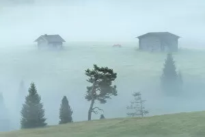 Alpe Di Siusi Collection: Two wooden cabins appearing from the thick morning fog at the Alpe di Siusi. Dolomites, Italy