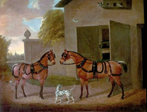 Carriages, Horses and Dogs Carriages, Horses and Dogs