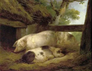 Animal Prints: Oil on Wood Print of Pigs Study