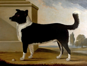 Lord Byrons Dog Boatswain (1803-1808)(The Newfoundland) Lord Byrons Dog Boatswain (1803-1808)(The Newfoundland)