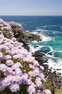 The Cornish coast at Pendeen Watch near Landsend, UK The Cornish coast at Pendeen Watch near Landsend, UK
