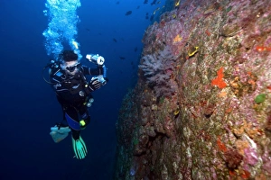 Diver photographs black coral, Anthipataria sp., St. Peter and St Diver photographs black coral, Anthipataria sp., St. Peter and St