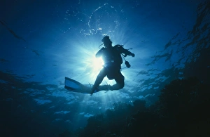 Lawson Wood Art Prints: Diver sillouette