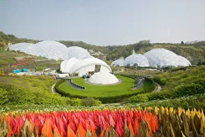 The Eden Project Print in Cornwall, UK