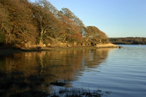 Evening light, autumn colours, Picton Point, Cleddau, Pembrokeshire, Wales, UK, Europe Evening light, autumn colours, Picton Point, Cleddau, Pembrokeshire, Wales, UK, Europe