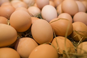 Farm Fresh Eggs Prints: Free range eggs