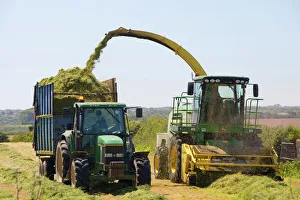Harvesting grass for sileage in Cornwall, UK. Climate change has resulted in a longer growing season for grasses Harvesting grass for sileage in Cornwall, UK. Climate change has resulted in a longer growing season for grasses