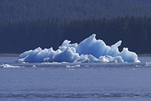 Iceberg/bergy bits calved off Sawyer Glacier in Tracy Arm, Southeasat Alaska, USA. Pacific Ocean Iceberg/bergy bits calved off Sawyer Glacier in Tracy Arm, Southeasat Alaska, USA. Pacific Ocean