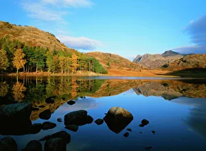 The Langdale Pikes from Blea Tarn in the Lake District UK The Langdale Pikes from Blea Tarn in the Lake District UK