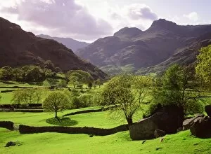 Images Dated 24th October 2008: The Langdale Pikes in the Lake District UK