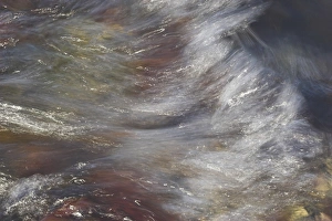 Long exposure shot of light trails on seaweed and water, Cardigan Bay, West Wales, UK (RR) Long exposure shot of light trails on seaweed and water, Cardigan Bay, West Wales, UK (RR)