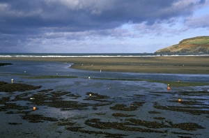 Low Tide Print of Newport Beach, Pembrokeshire Coast