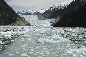 The Sawyer Glacier, a tidewater glacier at the end of Tracy Arm in Southeast Alaska, USA The Sawyer Glacier, a tidewater glacier at the end of Tracy Arm in Southeast Alaska, USA