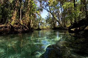 Three sisters spring, Crystal River, Florida, USA Three sisters spring, Crystal River, Florida, USA