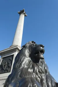 Trafalgar Square Print: Lion Statue and Nelson's Column
