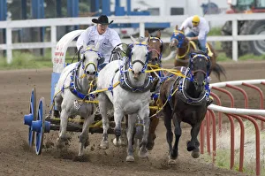 Canada, Alberta, Lethbridge Rocky Mountain Professional Chuckwagon Races Canada, Alberta, Lethbridge Rocky Mountain Professional Chuckwagon Races