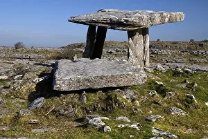 Eire Irish Blue Sky Gray Grey Greee Moss Lichen Eire Irish Blue Sky Gray Grey Greee Moss Lichen