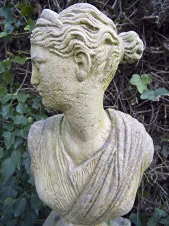 Gardens Ornaments Statue Bust Woman Against Ivy Gardens Ornaments Statue Bust Woman Against Ivy