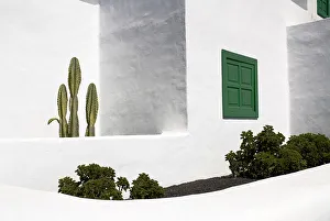 La Casa Museo a La Campesino or the Farmhouse Museum. Cactus growing against white walls of museum building with green La Casa Museo a La Campesino or the Farmhouse Museum. Cactus growing against white walls of museum building with green