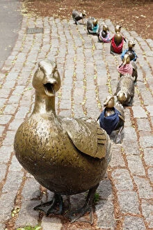 Artistic Collection: Make way for ducklings sculpture by Nancy Schon, Boston Public Garden, Boston