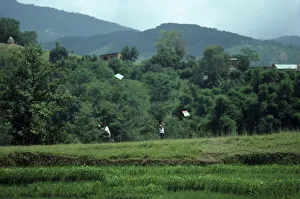 NEPAL Kathmandu Bhaktapur Boys flying kites a traditional festival sport NEPAL Kathmandu Bhaktapur Boys flying kites a traditional festival sport