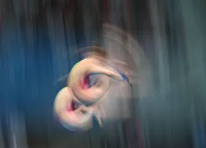 17th FINA World Championships 17th FINA World Championships
