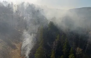 An aerial view shows a forest fire in the Siberian Taiga area outside Krasnoyarsk An aerial view shows a forest fire in the Siberian Taiga area outside Krasnoyarsk