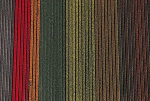 An aerial view of tulip fields near the city of Creil An aerial view of tulip fields near the city of Creil