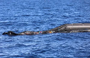 A boat that was carrying immigrants is seen in the Mediterranean Sea off the coast of A boat that was carrying immigrants is seen in the Mediterranean Sea off the coast of