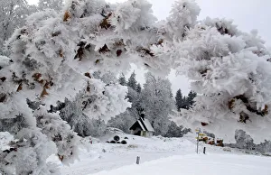 A chapel on the Taubenberg mountain in Warngau is framed by frozen leafs A chapel on the Taubenberg mountain in Warngau is framed by frozen leafs