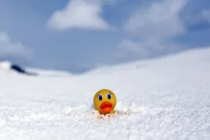 A childs toy duck is partially buried by hailstones following an ice storm in Derry A childs toy duck is partially buried by hailstones following an ice storm in Derry