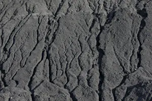 Coal is seen at a warehouse of the Trypillian thermal power plant in Kiev region Coal is seen at a warehouse of the Trypillian thermal power plant in Kiev region