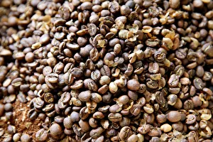 Coffee beans are seen at the Central Kenya Coffee Mill near Nyeri Coffee beans are seen at the Central Kenya Coffee Mill near Nyeri