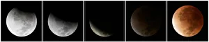 A combination photo shows phrases of a full lunar eclipse as it occurs over the North A combination photo shows phrases of a full lunar eclipse as it occurs over the North
