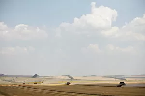 Russia Collection: Combines harvest wheat in Stavropol region