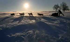 Competitor rides sled up hill during dog sled race in Destne Competitor rides sled up hill during dog sled race in Destne