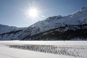 Cross country skiers race over the frozen lake Sils during the Engadin Ski Marathon Cross country skiers race over the frozen lake Sils during the Engadin Ski Marathon
