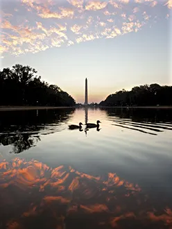 Ducks swim past as the sun starts to rise over the Reflecting Pool in front of the Ducks swim past as the sun starts to rise over the Reflecting Pool in front of the