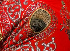 An elephant decorated with a cloth walk during the annual Nawam Perahera (street pageant) An elephant decorated with a cloth walk during the annual Nawam Perahera (street pageant)