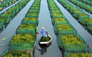 A farmer feeds his eels at a pond in Zhanggou County of Xiantao city A farmer feeds his eels at a pond in Zhanggou County of Xiantao city