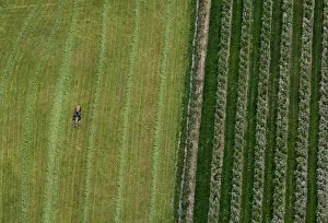 Images Dated 24th April 2007: A farmer works on a field in Friedrichshafen